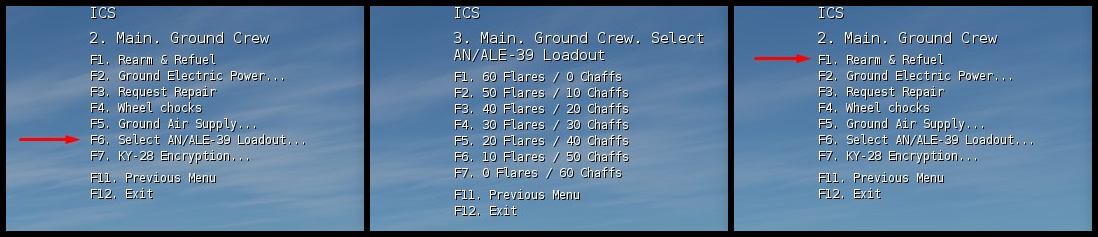 F14 CMS loadout1.jpg